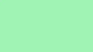 Teal Deer Color Screen