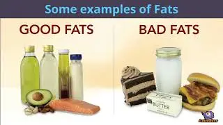 Fat Facts