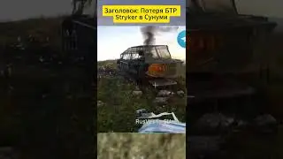 Заголовок Потеря БТР Stryker в Сунуми #aviation #armylovers