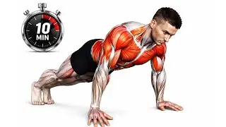 25-Minute Push Up Workout for Strength & Muscle | No Equipment Full Upper Body Training 