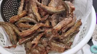 Fry Ghana Fish for Banku & Kenkey | Kyenam