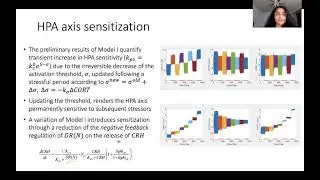 Modeling the irreversible effects of stress on HPA axis responsiveness   The role of FKBP5