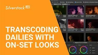 Silverstack Lab Tutorials: Part 2 – Matching On-Set Looks to Clips for Dailies Transcoding