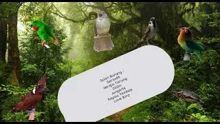 SUARA BURUNG GEREJA , SERINDIT, CILILIN, JANGKRIK, KAPAS TEMBAK, LOVEBIRD/MASTERAN MURAI BATU AMPUH