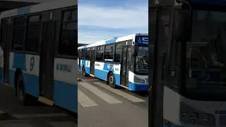 Linea 9 int. 9038 (Version 2023)