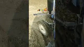 #shortvideo #tranding #trictor #shorts #viral #youtubeshorts