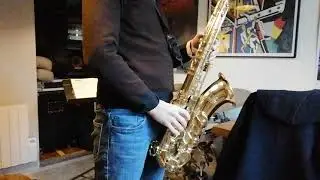 Bye Bye Blackbird - one year learning tenor sax