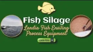 Fish Silage/ Processing of Fish Silage/ Silage Feed for Fish