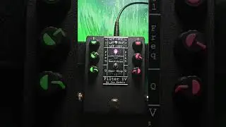 Ivy Pedals Filter IV #Guitar #PedalDemo [2/4] #effectspedals #guitarpedals #filter #EQ #lpf #reverb