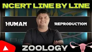 HUMAN REPRODUCTION - CLASS 12 | NCERT LINE BY LINE EXPLANATION   along with PYQ Practice | PART 1