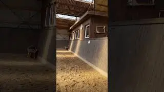 Indoor Horse Riding Arena In Denmark 🇩🇰 #shorts