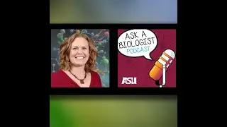 Breathtaking Biology &ndash; A Metabolome Adventure