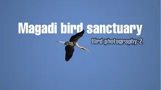 Magadi bird sanctuary,Gadag //Bird Photography-2