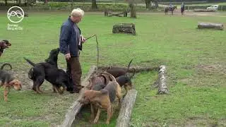Op jacht met de Midland Hunt
