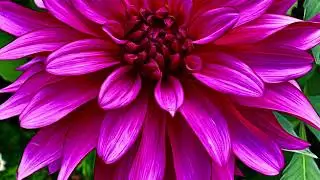 Ethereal Harp Music for Sleep & Relaxation