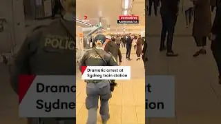 Man holding meat cleaver tackled and arrested at Parramatta Station, Sydney