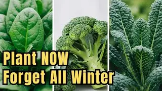 The Easiest 5 Vegetables to Plant in Fall and FORGET All Winter