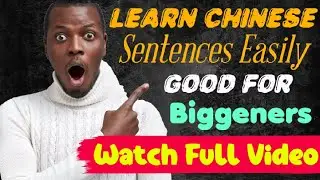 Learn Easy Chinese Sentences with English Translation | Daily Chinese Speaking Practice