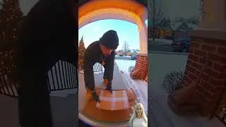 Funny Box Bandit  780 #funny   #comedy #securitycam