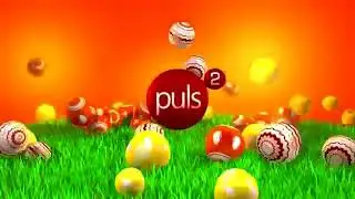Puls 2 - Oprawa Graficzna (1.09.2014 - dziś) (REUPLOAD)