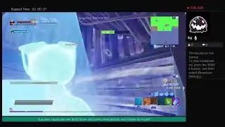 Fortnite wit Brad/Silver