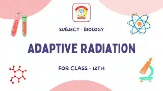Adaptive Radiation | Class 12 Biology | The Doon Grammar School
