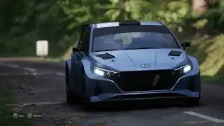 Assetto Corsa Rally - First run ... getting know the trees and bushes