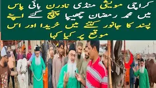 Karachi Cow Mandi 2025 | Most Expensive Cattle Market | Qurbani 2025 |Ramzan chhipa visit cow Mandi