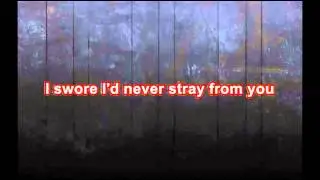The Exies - Stray (with lyrics)