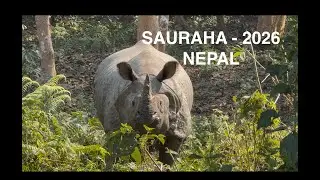 Sauraha -2026 Part 2/2. Chitawan National Park #travel #nepal #chitwannationalpark