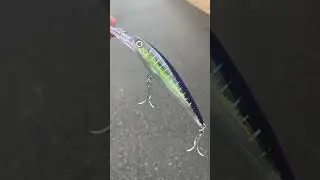 Вы ловите рыбу на приманки Rapala? #jandhtackle #fishing #fishinglures #trolling