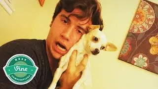 NEW BRANDON CALVILLO Vine Compilations 2015 | Best Brandon Calvillo Vines (310+w/ Titles)