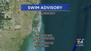 Dirty Water Leads To No Swim Advisory At Five Miami-Dade Beaches