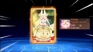 Enhance Advance Shining Tamamo-no-Mae Best Card in the game! - Laplace M / ToW