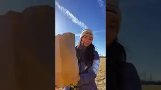 Watch an Amish building company prep my land for a barn in 5-days #farmpreneur