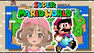‧₊˚ &sdot;MARIO TIME ‧₊˚ &sdot;