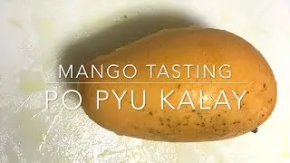Po Pyu Kalay Mango Tasting - Florida Grown Mango - PPK / Lemon Meringue