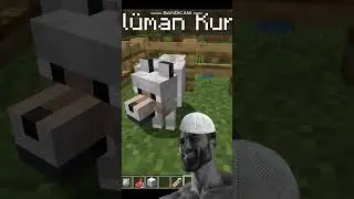 Minecraft'ta M&uuml;slman kurt#shorts #edit #gaming #memes #funny #games #subscribe #shortvideo