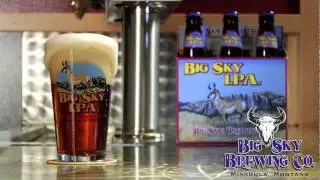 IPA Style Review