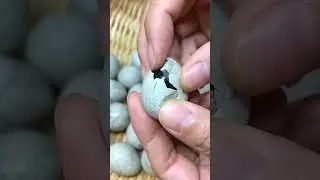 #agricultural #agriculture #farming #agro #farmlife #agricoltura #technology #farm #food #diy