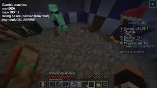 Raiting bases and gambling #donutsmp #fyp #minecraft #chill