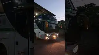 BARU MASUK BUS CHANDRA 3509