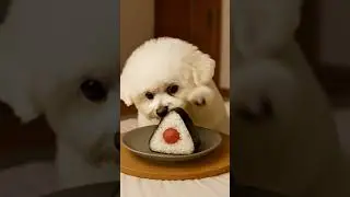 Mimi Eats Ume Onigiri【ASMR】｜朝の梅おにぎり🍙
