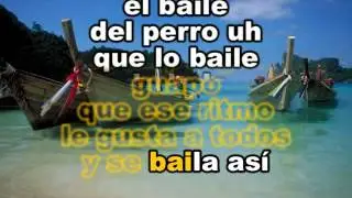 Wilfrido Vargas El Baile Del Perrito Karaoke
