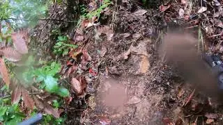 Skeggs Point - Resolution  Crash