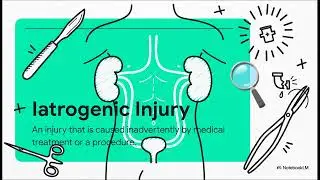 lecture 1 3ed year Anesthesia techniques Department ( Trauma to the Genitourinary Tract)