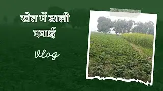apne khet main daali dabai #vlog #treading #highest