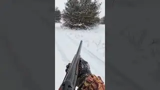 Heart-Pounding Deer Hunt in the Wild #fox #hunting #1fox #foxcaptureplan#shortvideo #automobile#deen