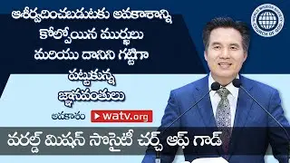 అవకాశం [దేవుని సంఘము, వరల్డ్ మిషన్ సొసైటీ చర్చ్ ఆఫ్ గాడ్, అన్ సాంగ్ హోంగ్, తల్లియైన దేవుడు]