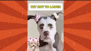 Try not to laugh #funny #memes #relatable #comedy #fyp